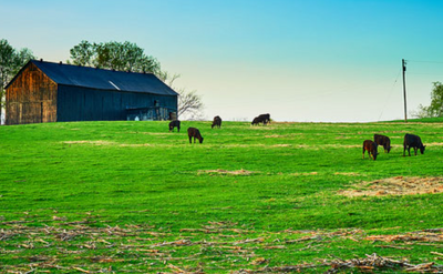 U.S. Census of Agriculture reports growth for Kentucky food producers