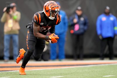 Bengals announce new turf for Paycor Stadium