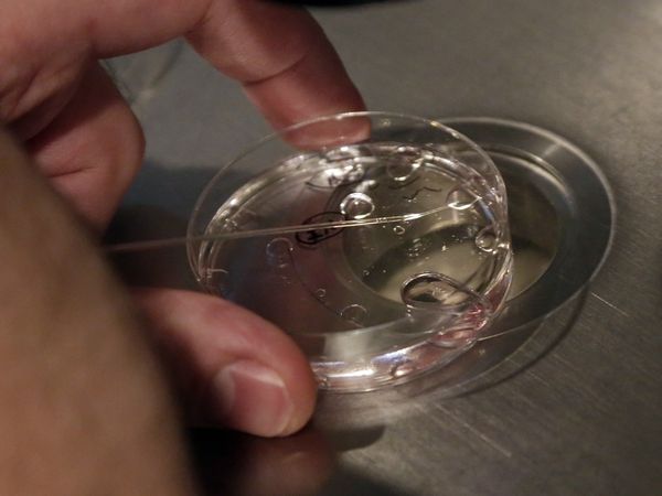 Alabama lawmakers move to protect IVF treatment