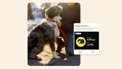 Strava adds new feature to track your dog’s fitness