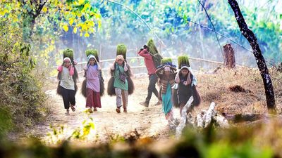 10,000 people in Assam face eviction from tribal council lands