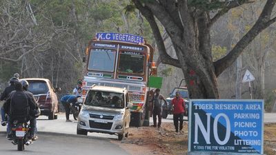 Tourists from Visakhapatnam fined ₹25,000 for violating rules at Bandipur