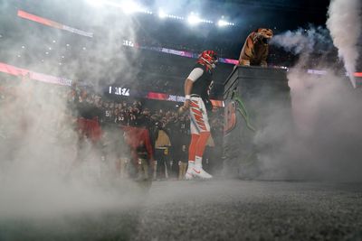 Bengals should use ‘leaping tiger’ logo at midfield with new turf