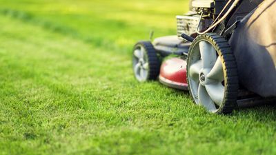 When should I start mowing my lawn in spring? Experts explain