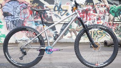 Starling Cycles Roost Hope Edition review – superb steel trail blaster