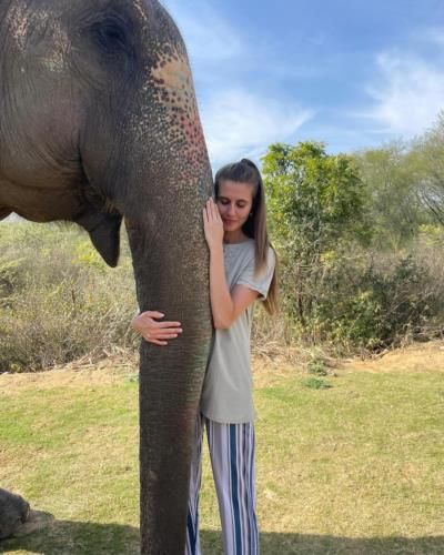 Joyful Connection: Ambar Zenteno's Heartwarming Encounter With An Elephant