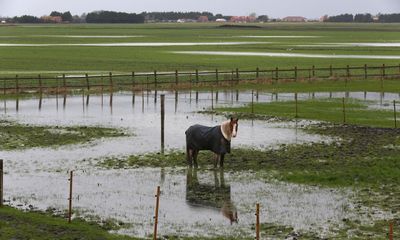‘Our yields are going to be appalling’: one of wettest winters in decades hits England’s farms