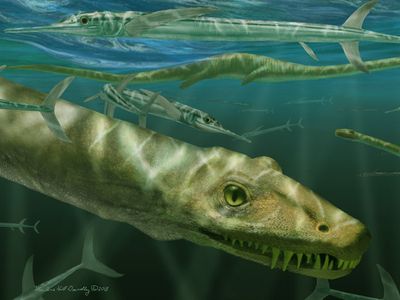 Paleontologists discover a 240-million-year-old 'dragon' fossil in full
