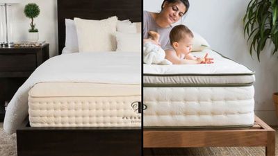 Avocado Green Mattress vs PlushBeds Botanical Bliss: Which organic bed is best for your sleep?