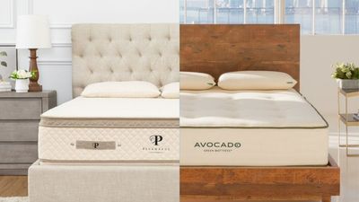 Avocado Green Mattress vs PlushBeds Botanical Bliss: Which organic bed suits your sleep?