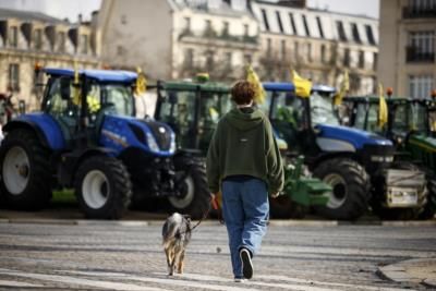 French Farmers Protest In Paris For Government Support