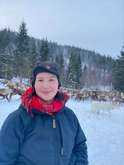 ‘Our bodies know the pain’: Why Norway’s reindeer herders support Gaza