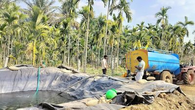 Drought-hit areca growers buy water to save their plantations