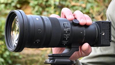Sigma 500mm F5.6 DG DN OS Sports review: he ain’t heavy, he’s a super-telephoto prime that’s easy to live with