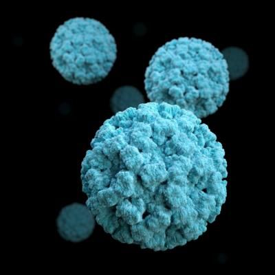 Norovirus Surges Across U.S., Causing Winter Gastroenteritis Outbreaks
