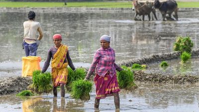 Farmers’ groups ask Centre to protect interests of Indian farmers, fisherfolk at WTO