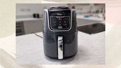 The Ninja Air Fryer MAX AF160 is small but mighty - here's how it held up in our test kitchen