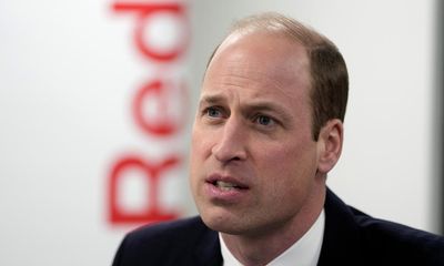 Prince William has pontificated about Gaza, but was David Cameron the right person to plagiarise?