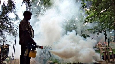 Significant risk found even in primary dengue infection, says study