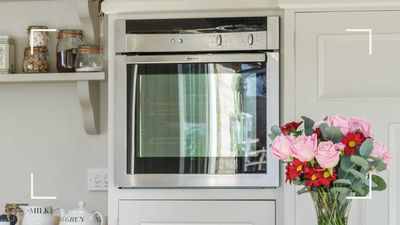 How to clean a glass oven door with baking soda: 5 steps to gently remove grease