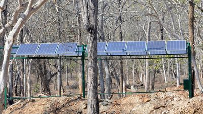 Solar-powered pumps replenish watering holes in Bandipur, Nagarahole