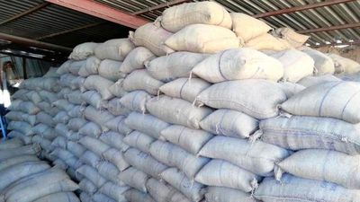 Paddy arrivals bring down rice prices