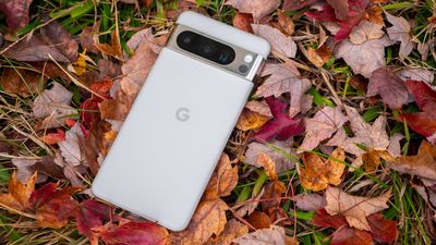 Pixel 8 Pro vs. Pixel 6 Pro: May the better Pixel win