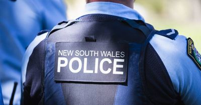 Driver killed after kangaroo jumped in front of truck: NSW Police