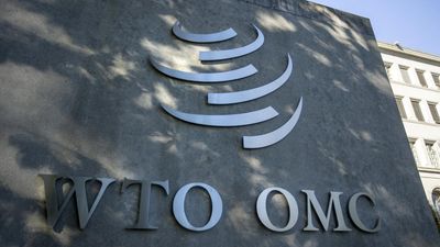 WTO MC13 | What’s on the agenda for India?