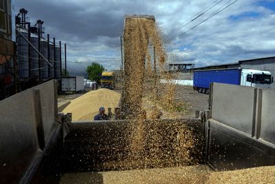 Ukraine demands Poland punish protesting farmers for dumping grain