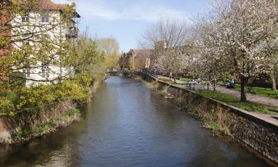 British and Irish rivers in desperate state from pollution, report reveals