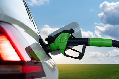 Gasoline: Will the Bullish Trend Continue?