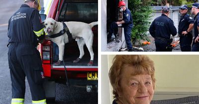 Arson suspected after grandmother, two dogs die in fire