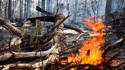 'All clear' for downgraded bushfire in WA's south