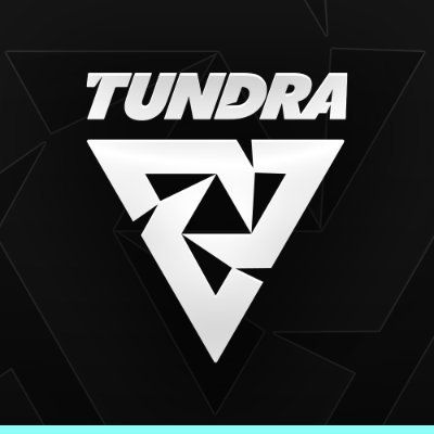 Dota 2 Roster News: MinD_ContRoL Has Been Benched by Tundra and Now LFT