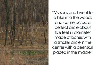 Folks Share The Most Disturbing Things They’ve Seen While Camping And Here Are 37 Of The Scariest