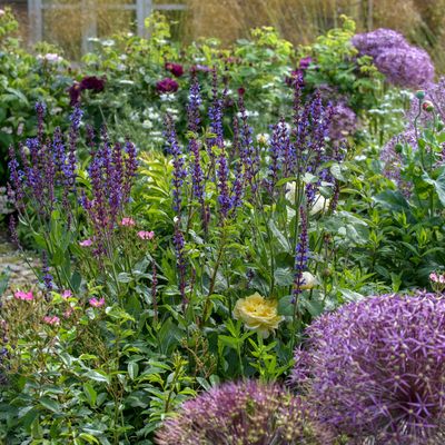 10 flower bed ideas for beautiful garden displays