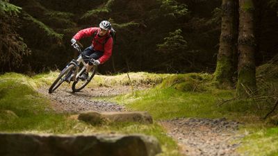 Have your say on future plans for the 7stanes trail networks