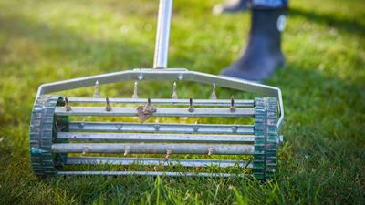 What is a lawn aerator? Experts explain