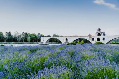 The nine best train destinations in Europe for a flight-free summer
