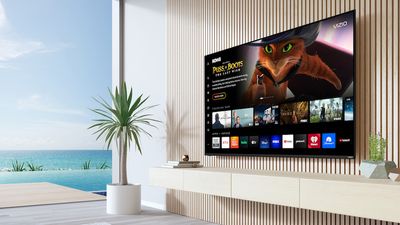 Vizio Posts Big Gains In Platform Plus Profit