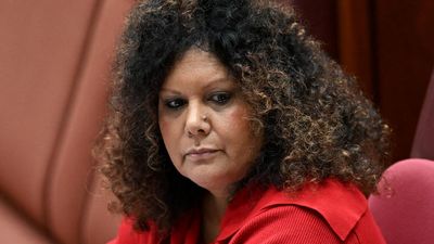 Indigenous senator felt 'culturally unsafe' after abuse