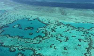 Aerial surveys of Great Barrier Reef ordered as flights show extensive coral bleaching