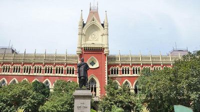 Maternity benefits | Differentiation not permissible between regular, contractual employees: Calcutta High Court