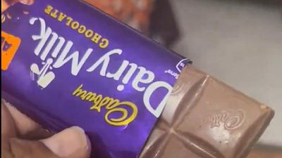 White worms and web in chocolate, Telangana food lab confirms