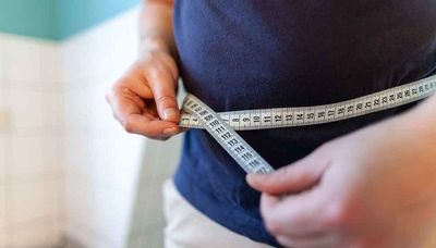 Abdominal fat can influence brain health, cognition in high Alzheimer's risk patients