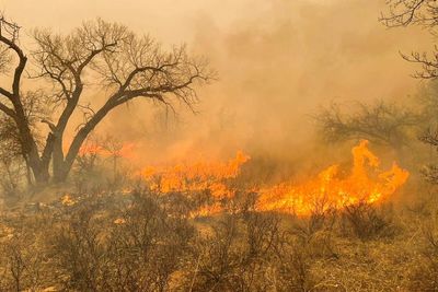 Historic Texas wildfire consumes over 500,000 acres as blaze rages on