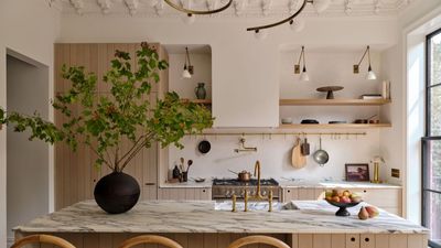 The Brownstone Boys' transitional deVOL kitchen is the 'perfect blend' of old and new – we take the tour