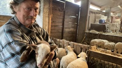 France's organic farmers 'green with rage' over lack of government support
