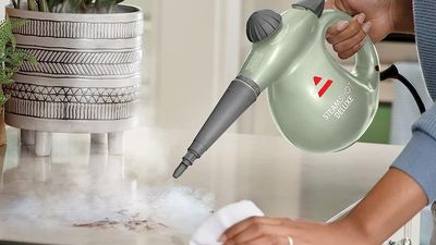 Amazon's no. 1 bestselling steam cleaner has sold over 70,000 times recently, and it only costs $41